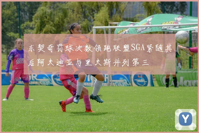 东契奇罚球次数领跑联盟SGA紧随其后阿夫迪亚与里夫斯并列第三