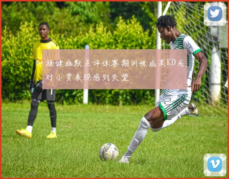 杨健幽默点评休赛期训练成果KD或对小贾表现感到失望