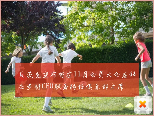 瓦茨克宣布将在11月会员大会后辞去多特CEO职务转任俱乐部主席