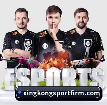 五大服务分区,信息按项目分类(xingkong)