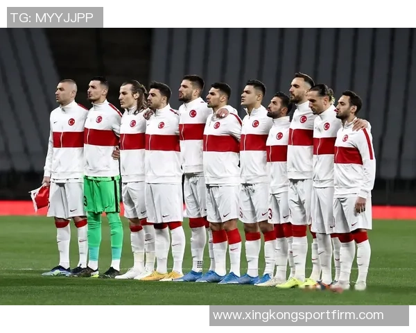 居莱尔展望未来努力助力土耳其重返世界杯舞台